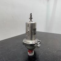 Steriflow Food & Beverage Sanitary Pressure Regulator image 1